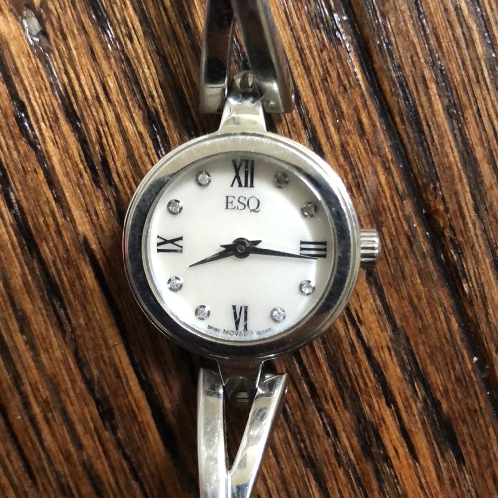 ESQ by Movado Watch